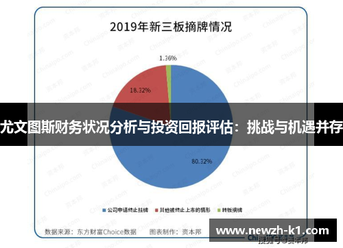 尤文图斯财务状况分析与投资回报评估:挑战与机遇并存 尤文图斯财务状况分析与投资回报评估:挑战与机遇并存