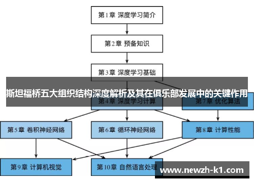 斯坦福桥五大组织结构深度解析及其在俱乐部发展中的关键作用 斯坦福桥五大组织结构深度解析及其在俱乐部发展中的关键作用