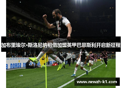 加布里埃尔·斯洛尼纳租借加盟英甲巴恩斯利开启新征程