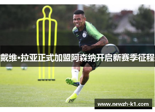 戴维·拉亚正式加盟阿森纳开启新赛季征程